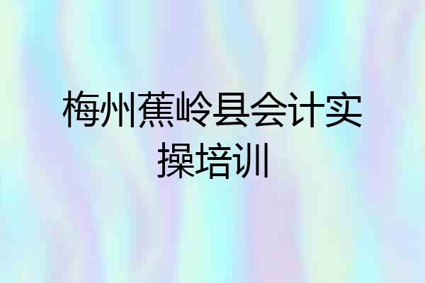 梅州蕉岭县会计实操培训