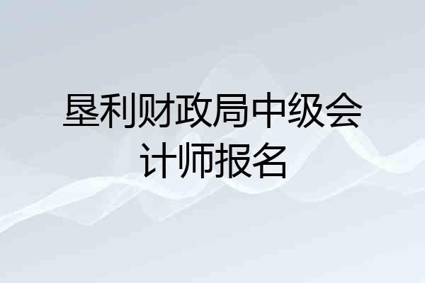垦利财政局中级会计师报名