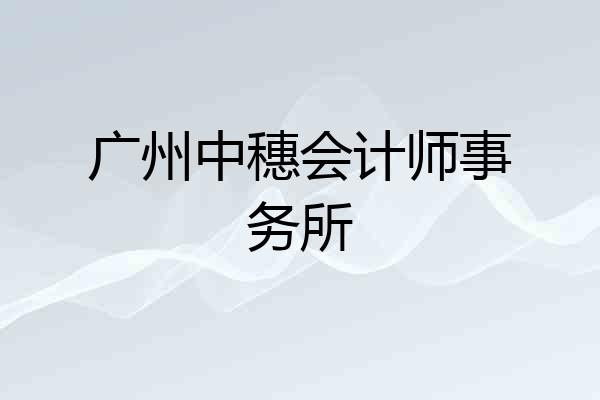 广州中穗会计师事务所