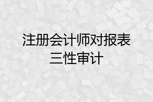 注册会计师对报表三性审计