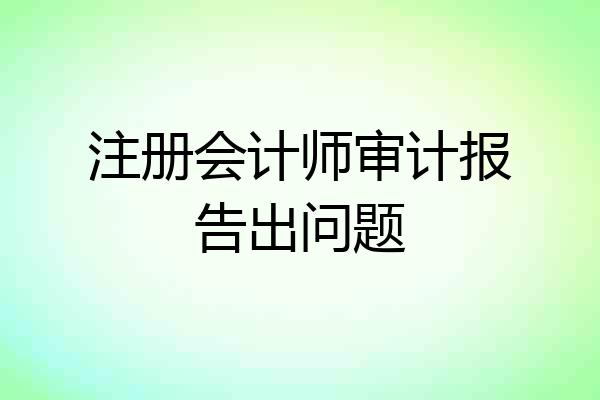 注册会计师审计报告出问题
