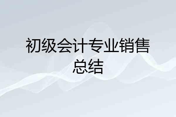 初级会计专业销售总结