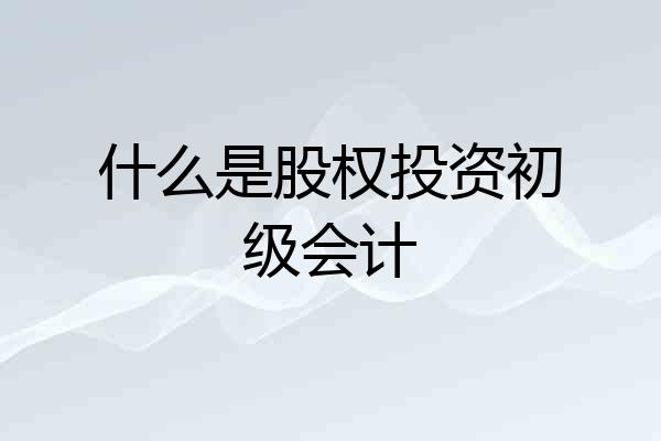 什么是股权投资初级会计