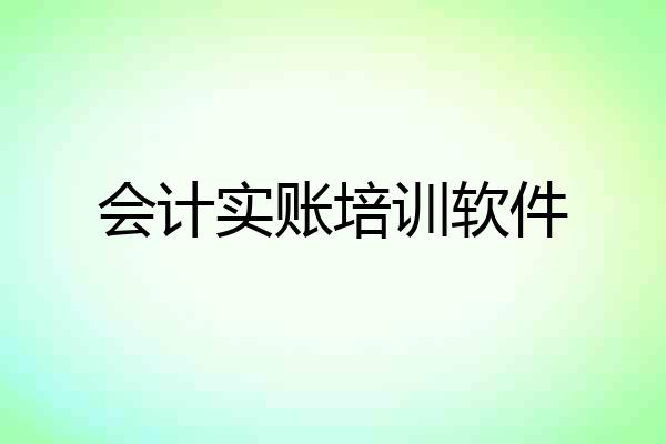 会计实账培训软件