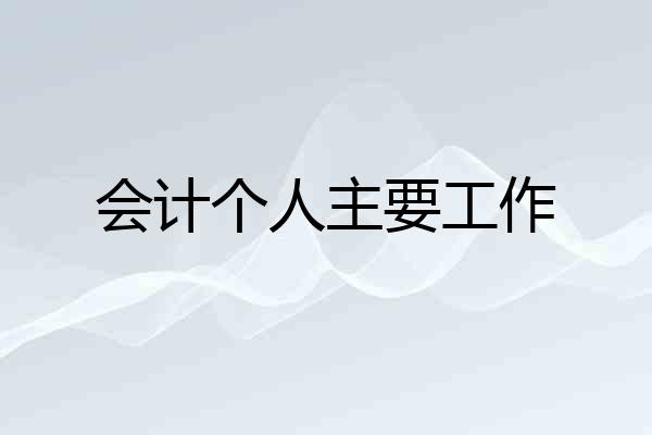 会计个人主要工作