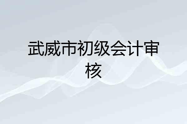 武威市初级会计审核