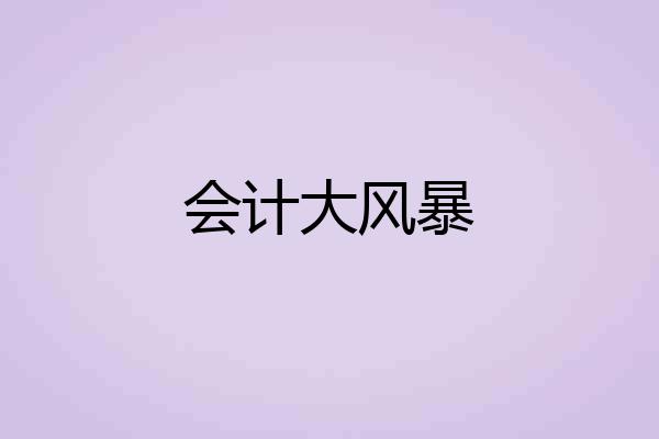 会计大风暴