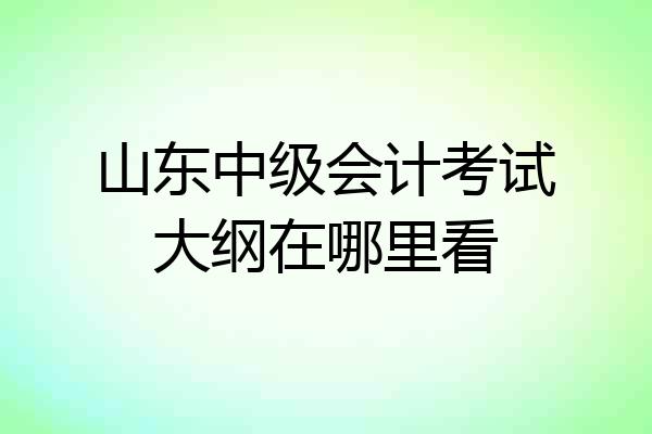 山东中级会计考试大纲在哪里看