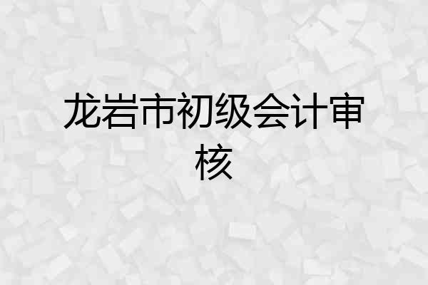 龙岩市初级会计审核