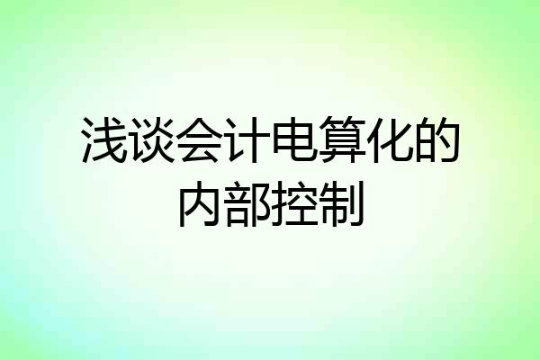 浅谈会计电算化的内部控制