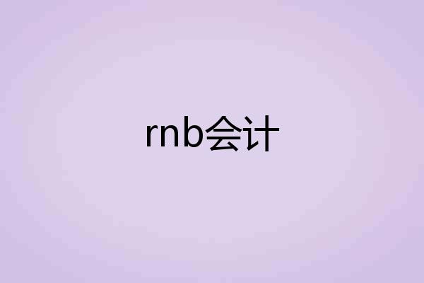 rnb会计