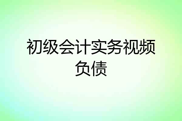 初级会计实务视频负债