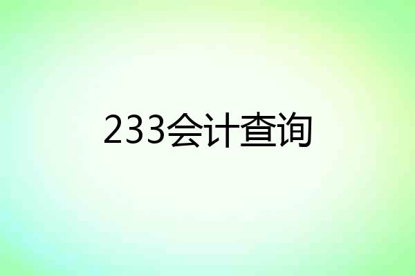 233会计查询