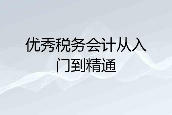 优秀税务会计从入门到精通