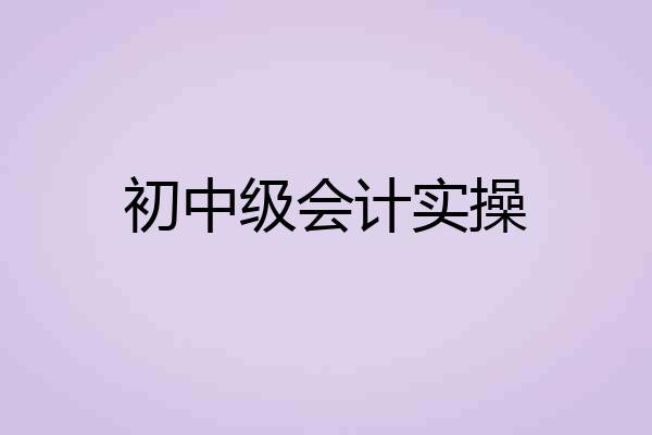 初中级会计实操