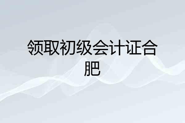 领取初级会计证合肥