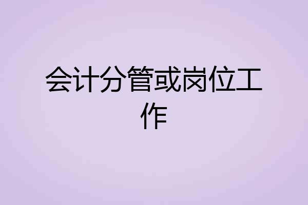 会计分管或岗位工作