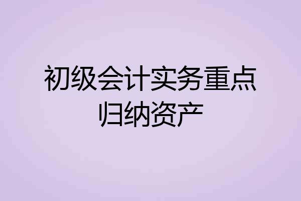 初级会计实务重点归纳资产