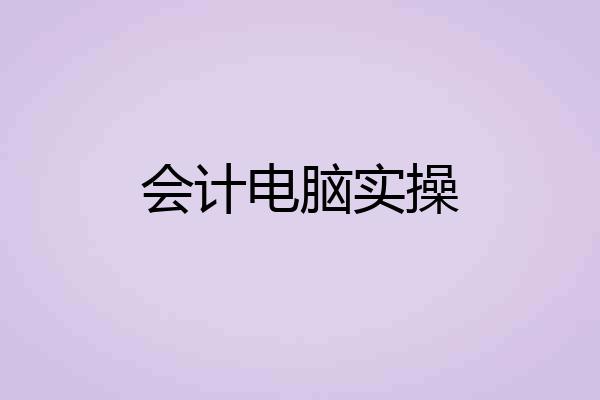会计电脑实操