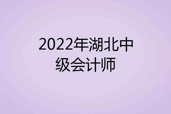 2022年湖北中级会计师