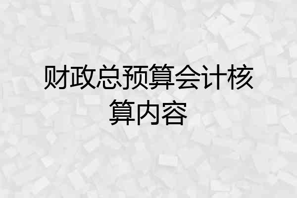 财政总预算会计核算内容