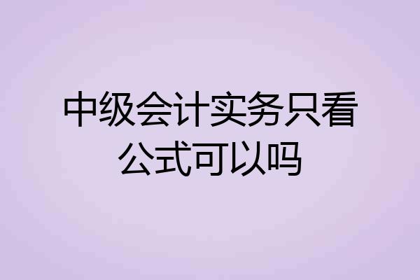 中级会计实务只看公式可以吗