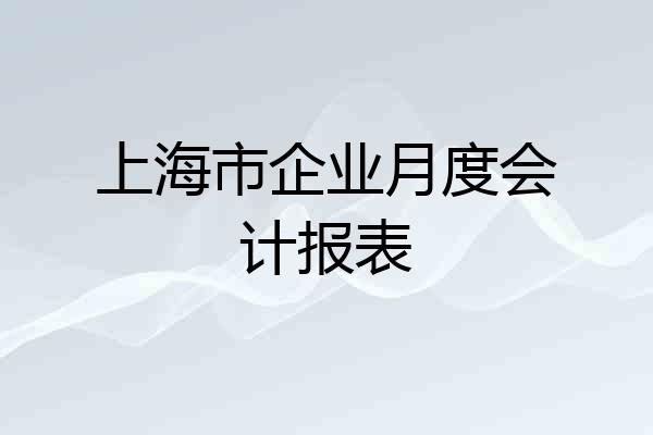 上海市企业月度会计报表