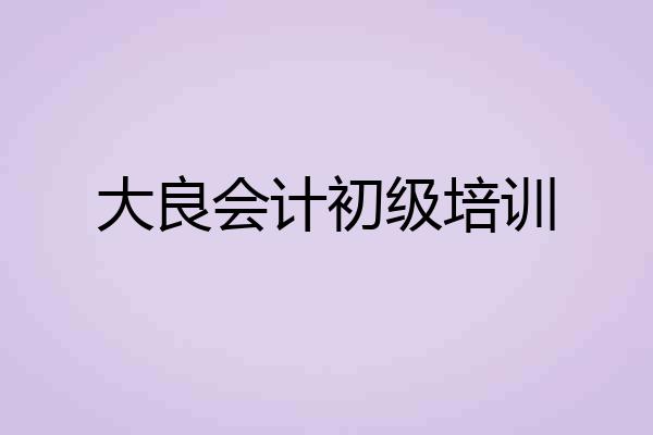 大良会计初级培训