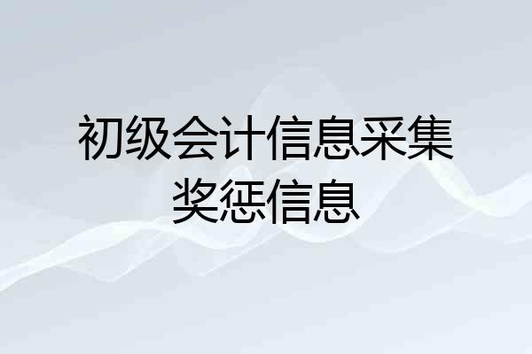 初级会计信息采集奖惩信息