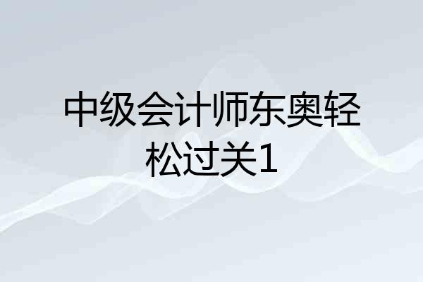 中级会计师东奥轻松过关1