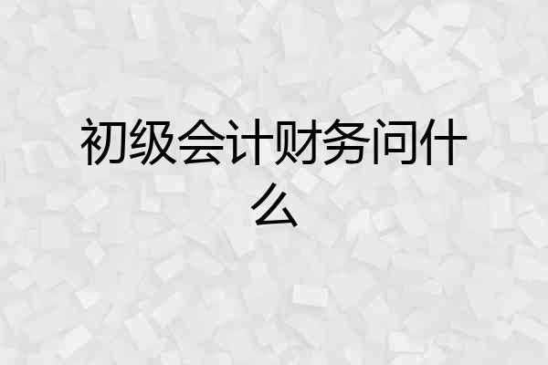 初级会计财务问什么