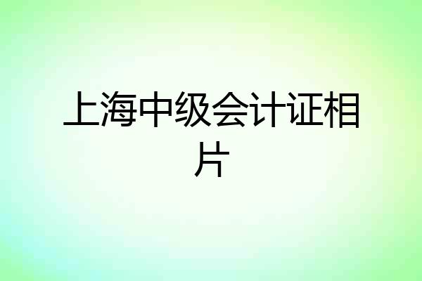 上海中级会计证相片