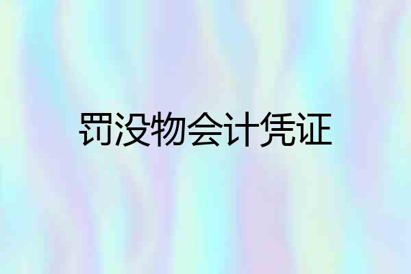 罚没物会计凭证