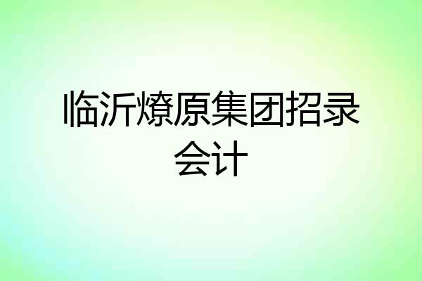 临沂燎原集团招录会计