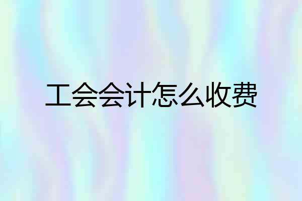 工会会计怎么收费