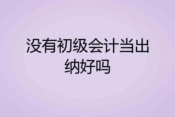 没有初级会计当出纳好吗