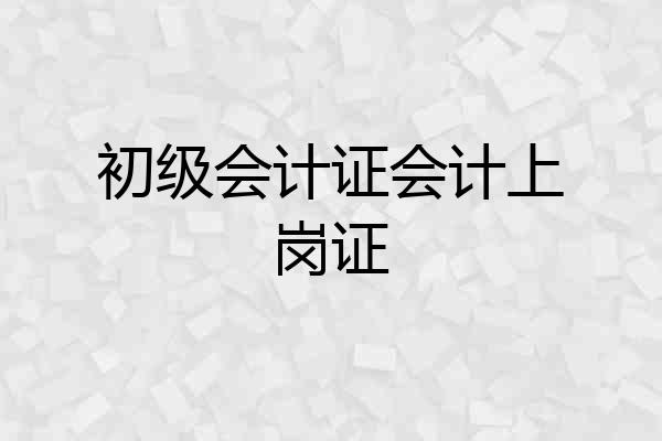 初级会计证会计上岗证
