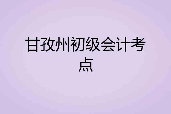 甘孜州初级会计考点