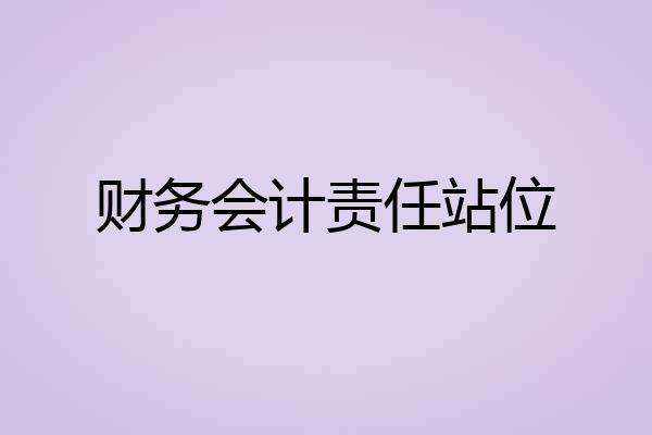 财务会计责任站位