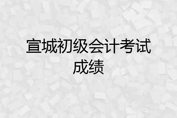 宣城初级会计考试成绩