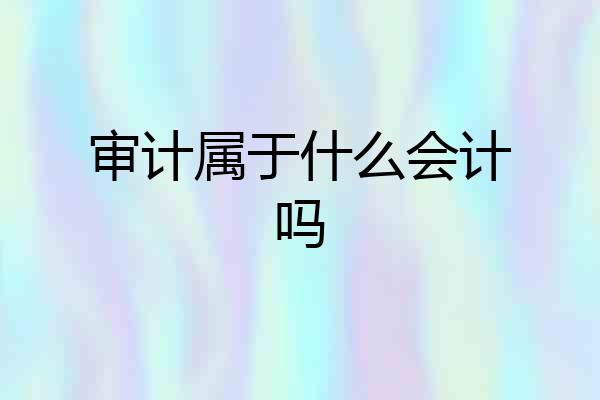 审计属于什么会计吗