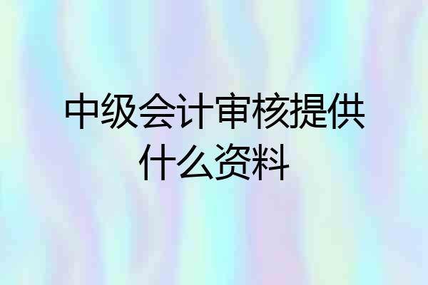 中级会计审核提供什么资料