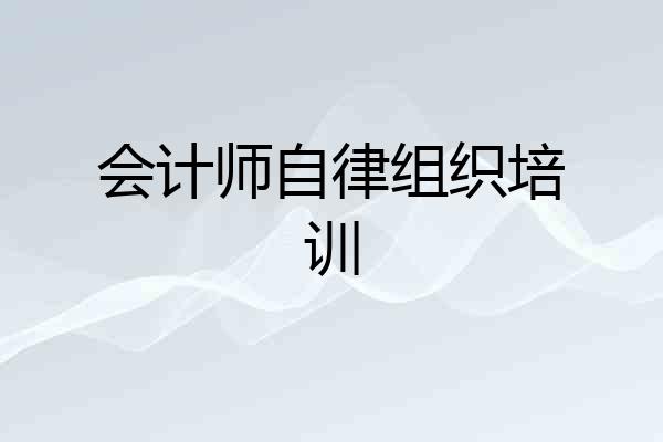 会计师自律组织培训