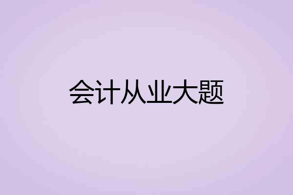 会计从业大题