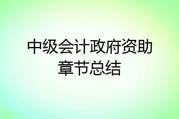 中级会计政府资助章节总结