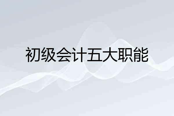 初级会计五大职能