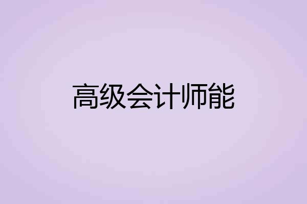 高级会计师能