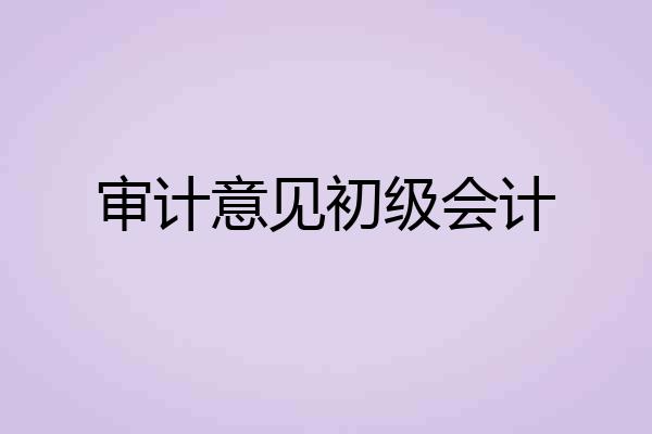 审计意见初级会计