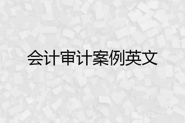 会计审计案例英文