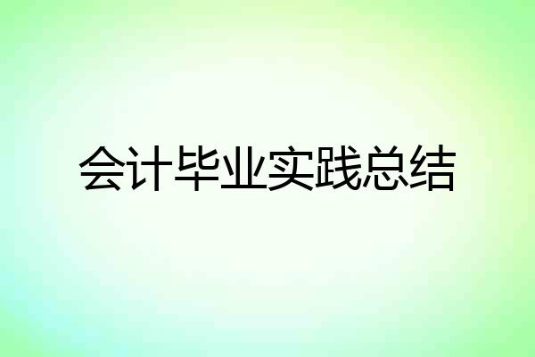 会计毕业实践总结